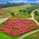 낙동강체육공원 관리사무소 이미지