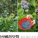 조현덕농장 이미지