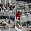 타이거 합기도 이미지