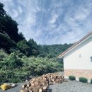 무릉도원면-4 이미지