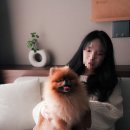 포시즌스테이