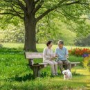 영어(초급A) 이미지