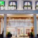 아나톨레 이미지