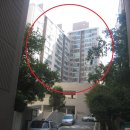 목동중앙본로 이미지