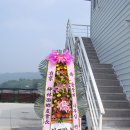 유림초등학교 이미지