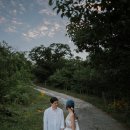 웨딩#