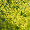 인화여자고등학교 이미지