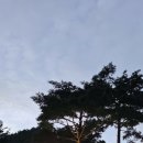 서산해산물