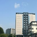 마이애미정선 | 정선, 강원랜드 주변 가성비 호텔 마이애미정선 후기