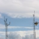 내 마음을 풍선에 이미지