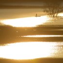 황금빛 노을 이미지