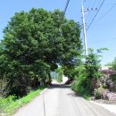 용초경로당 이미지