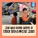 뉴(new)현대약국 | 고양시 34개월 아이랑 실내 갈만한 곳｜현대 모터 스튜디오 고양 후기
