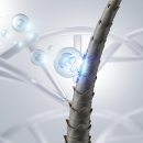 나인의원 이미지