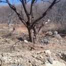 가은농장 이미지