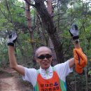 금수목장 이미지