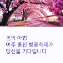 흥천체육공원 | 여주 흥천 벚꽃축제 벚꽃 원더랜드에서 요정 선발대회까지