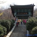 호텔 마레 이미지