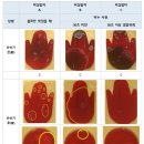 루캐피 이미지