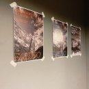 파슈어커피로스터스 이미지