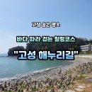 경상대학교박물관 | 고성여행추천ㅣ고성 당항포 해안누리길 트레킹 후기!!