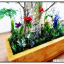 속초중앙교회 이미지