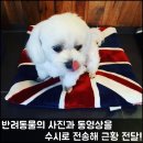 스타인호텔
