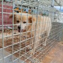 봉성농장 이미지