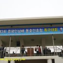 정관장 증평점 Daum카페
