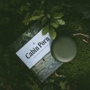 은둔의광장 이미지