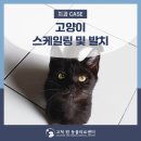 고척원동물의료센터 이미지
