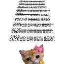 명동김밥 칼국수 이미지