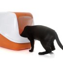 송도 종합 동물병원 이미지