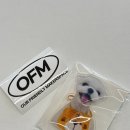 엠오에프 | 동명동 오에프엠 스튜디오 후기 강아지 아크릴 그립톡 제작｜동명동 굿즈 제작샵 추천