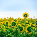 대한행정법률 행정사사무소 이미지