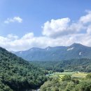 수승대 Daum카페