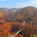 제 418차 대전 장태산 산행안내 이미지