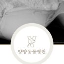 양양동물병원 이미지