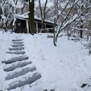 수레의산자연휴양림 이미지