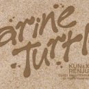 비아쥬(Bi a Ju) | [2023][China-POP/K-POP][NCT][NCT LAB][NCT U] Marine Turtle (바다 거북이)