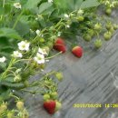 연무농장 이미지