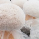 노루유치원 이미지