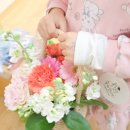 부천서초등학교 이미지