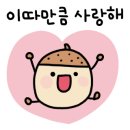토리애견샵 이미지