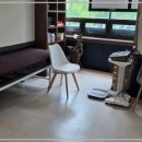 내몸케어연구소 이미지