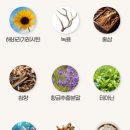 주식회사 일등