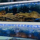 조명수산 이미지