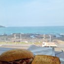 용담하우스 | 제주공항 근처 카페 바다 보이는 스타벅스 제주 용담 DT점 후기