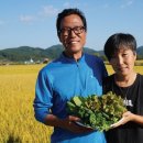 김홍철농장 이미지