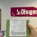 신도안동물병원 이미지